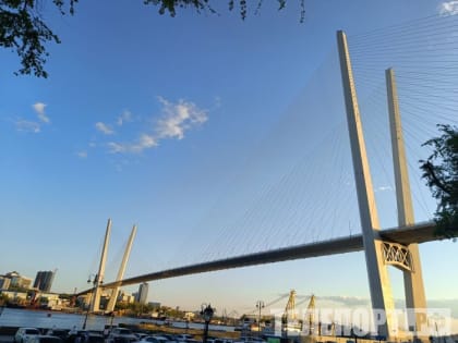 Ученые Дальнего Востока стали экспертами на Форуме будущих технологий