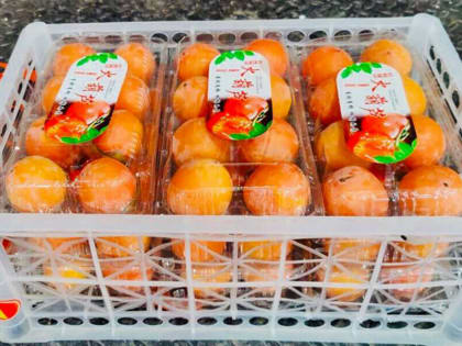 Предотвращение импорта зараженной хурмы в Амурской области