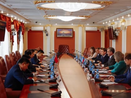 Василий Орлов прокомментировал идею создания центра китайской медицины в Благовещенске