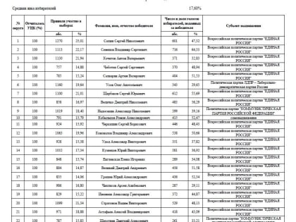 Названы предварительные итоги выборов депутатов думы Благовещенска