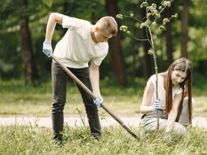 В амурские школы вернут трудовую дисциплину