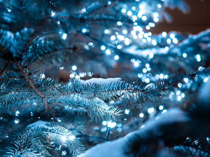 Сегодня вечером жителей Благовещенска зовут на колядки в кафедральном соборе