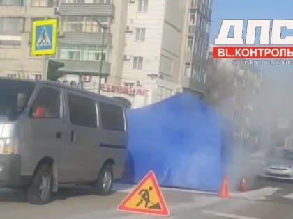 Благовещенцев озадачила палатка, установленная на проезжей части в центре города