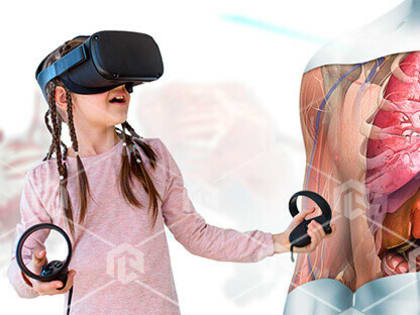 Виртуальное погружение в тело человека: в новую школу Благовещенска покупают трехмерный интерактивный атлас за 4 миллиона