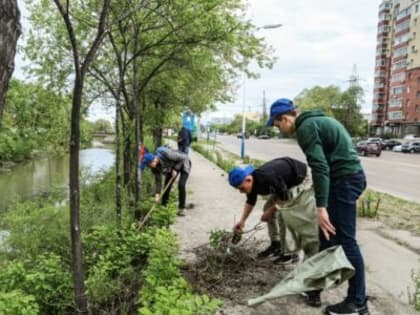 Благовещенцев снова собирают на очистку реки Бурхановки