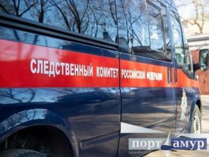 Амурчанка ответит в суде за гибель знакомого