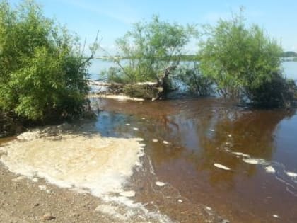 В двух амурских водоемах обнаружили яйца гельминтов и цисты дизентерийной амебы