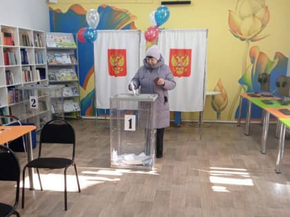 На дополнительных выборах в Амурской области победу одержали кандидаты от «Единой России»
