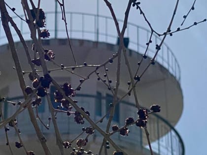 Сильные осадки и ветер: погода в Приамурье 20-го апреля