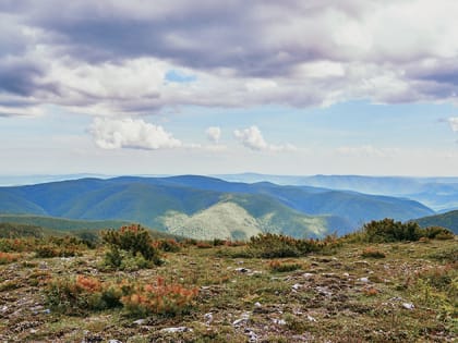 Профориентационные турмаршруты для детей помогут разработать специалисты АСИ