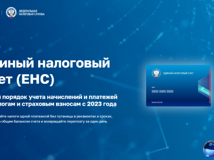 Сальдо ЕНС стало доступно физическим лицам и предпринимателям в Амурской области