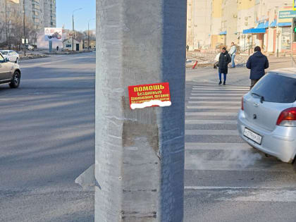 На благовещенские столбы, урны и остановки снова напали расклейщики незаконной рекламы