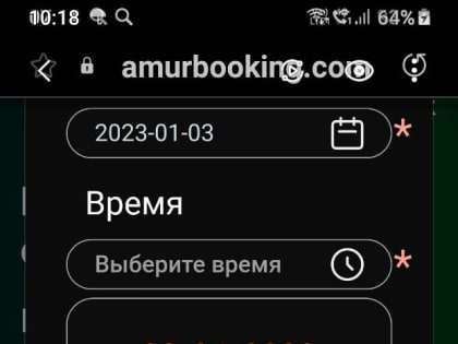 «Все места заняты еще до открытия». Амурский бизнес сообщил о перегрузках в первый день работы трансграничного моста через Амур в 2023 году