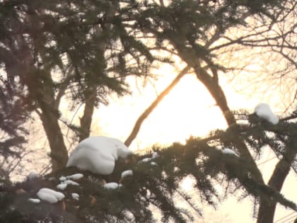 Морозный ветер: погода в Приамурье на 11 января