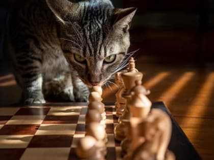 Тельцы могут оказаться жертвой обыкновенных жуликов, а Раков ждут перемены