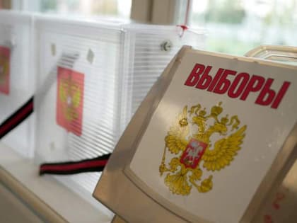 В Амурской области подвели предварительные итоги выборов Губернатора