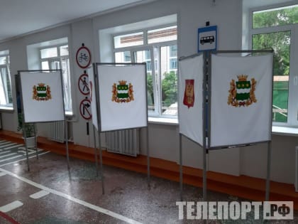 Утреннюю явку в финальный день голосования озвучили в Амуризбиркоме