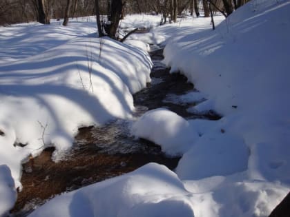 На Макара капель - в весну раннюю верь