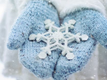 Свободное посещение школы и режим повышенной готовности: мэр Благовещенска сделал заявления в связи с грядущими морозами