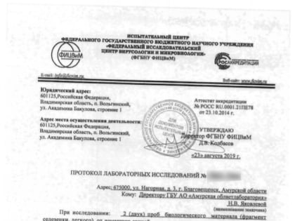 Африканскую чуму свиней официально подтвердили во Владимирской области