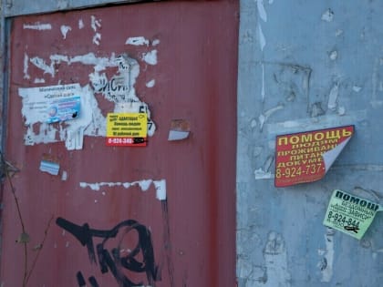 Благовещенцам будут давать премии за сообщения о вандалах