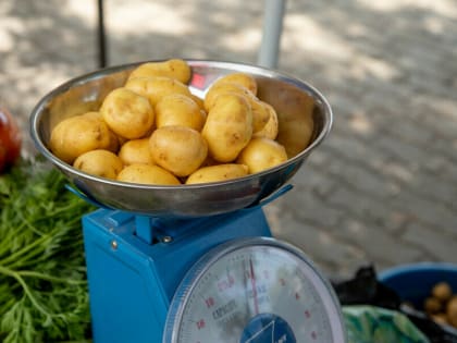 В Благовещенске незаконных торговцев оштрафовали на 170 тысяч рублей