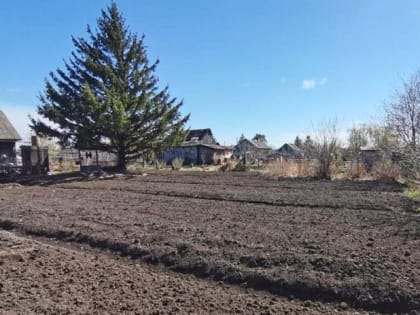 Рабочая группа по СВО представила новые социальные гарантии для бойцов и их семей