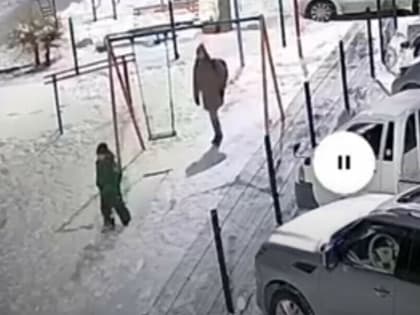 «Вырвали у Емели руки и бросили»: вандалы похозяйничали в празднично украшенном дворе Благовещенска (видео)