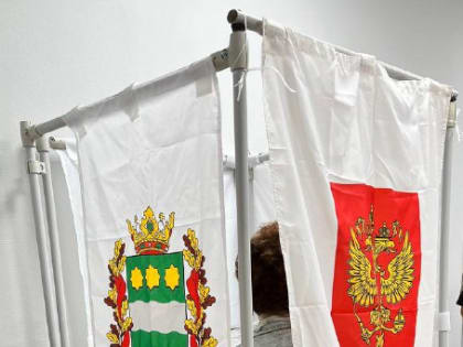 Досрочное голосование в Благовещенске: выборы депутатов гордумы восьмого созыва