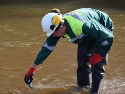 Пробы воды, воздуха и донных отложений в районе Амурского ГПЗ соответствуют экологическим нормативам