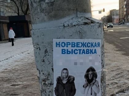 В Благовещенске оштрафуют «норвежцев», которые нарушили правила благоустройства
