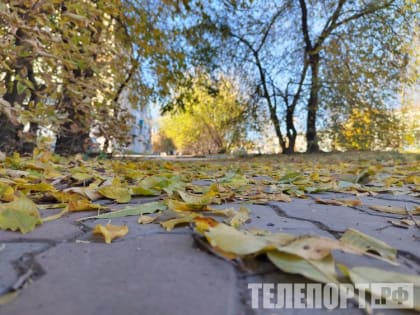 Фестиваль кино и театра "Амурская осень" стартовал в Амурской области