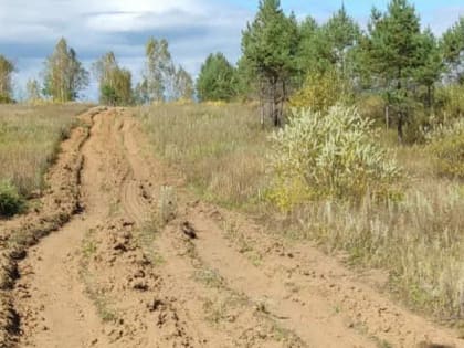 Амурчане пополнили доход лесного бюджета на 1,2 млрд рублей