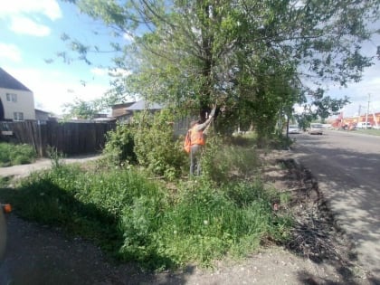 В Благовещенске сотрудники ГСТК обрезают ветви деревьев. Где?