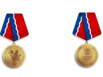 В Приамурье будут вручать новую медаль «За содействие специальной военной операции»