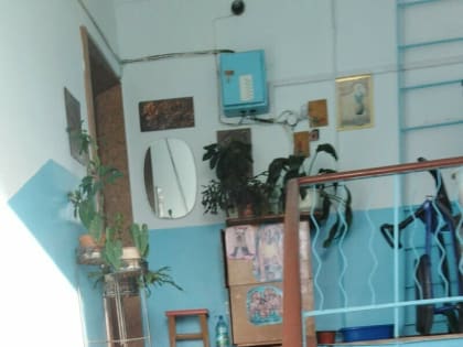 Есть несколько вариантов развития событий: в мэрии объяснили, что делать жителям ДОСов в Моховой Пади, которые предписано снести