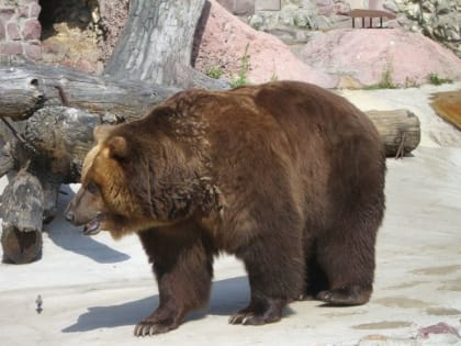 Евтропий путь торопит да снег топит