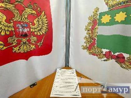 Почти 87 тысяч амурчан пришли на участки в первый день голосования