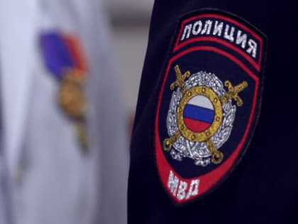 Дикорастущую коноплю на площади 430 тысяч «квадратов» уничтожили в Приамурье