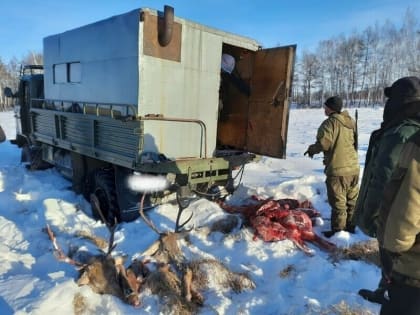 «Чудом не сбили инспектора»: в Тындинском округе развязалась настоящая погоня за нарушителями