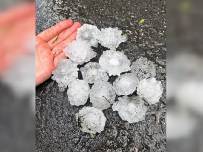 «Машина уничтожена, урожая нет»: в Завитинске прошёл разрушительный град