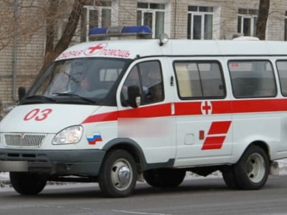 «Зелёнкой мажьте»: амурчанка рассказала, как добивалась госпитализации дочери с ветрянкой