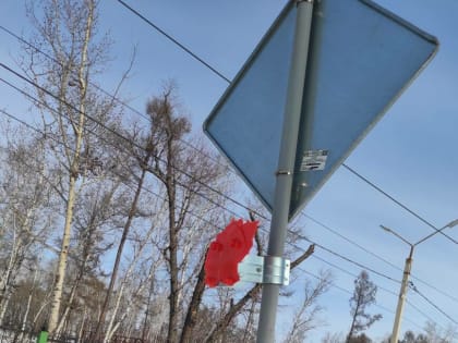 В Свободном неизвестные украли зеркало, помогающее автомобилистам