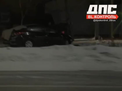 В Благовещенске в ДТП, в котором дерево спасло пешехода, травмирован один человек