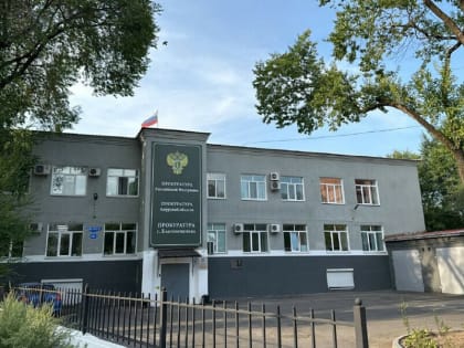 Женщина на автомобиле сбила девочку в Благовещенске