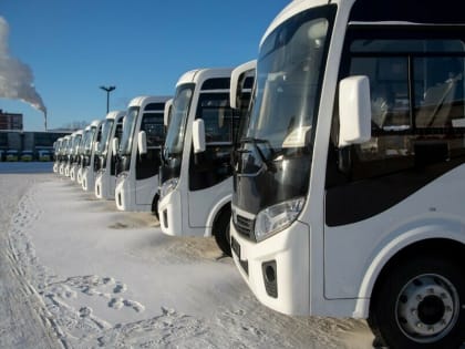 Амурчан приглашают заработать на перевозке пассажиров по региону. Откуда и куда?