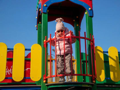 Чего хотят благовещенцы? Подводим итоги опроса по модернизации игровой площадки на Пионерской, 2