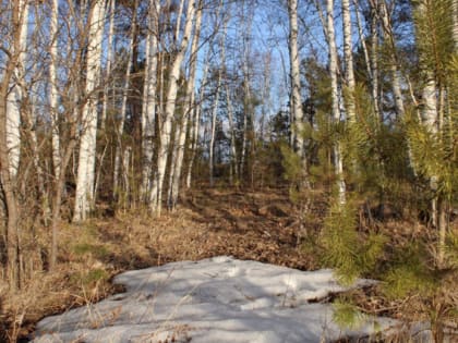 Большие колебания дневной температуры отметили в Приамурье