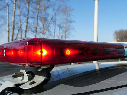 Проверка на дорогах: максимальное количество водителей остановят в Благовещенске 28 декабря