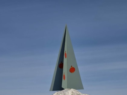 В Благовещенске творческим горожанам не разрешили поставить елку возле крупного ТЦ